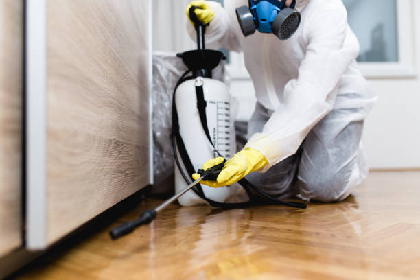 Best Pest Inspection Near Me  in Syracuse, NY