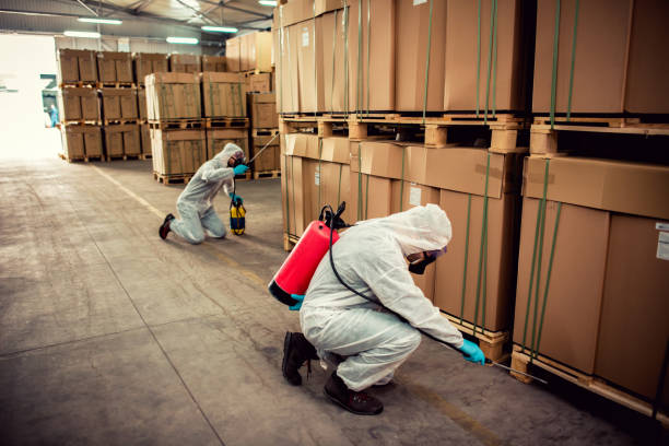 Best Mosquito Control Services  in Syracuse, NY