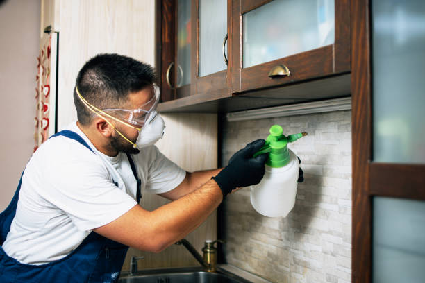 Best Pest Removal Services  in Syracuse, NY