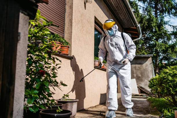 Best Rodent Control Near Me  in Syracuse, NY