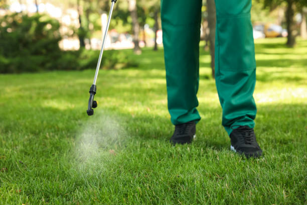 Best Pest Control Near Me in Syracuse, NY
