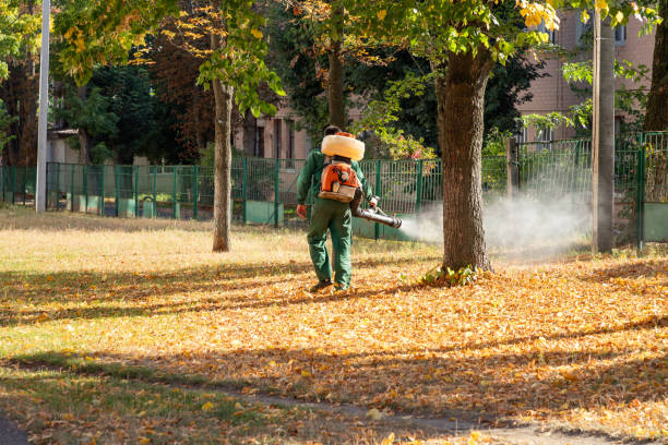 Best Termite Control Services  in Syracuse, NY