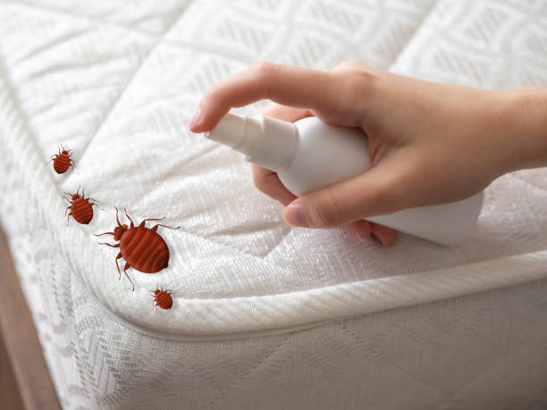 Best Commercial Pest Control Services  in Syracuse, NY