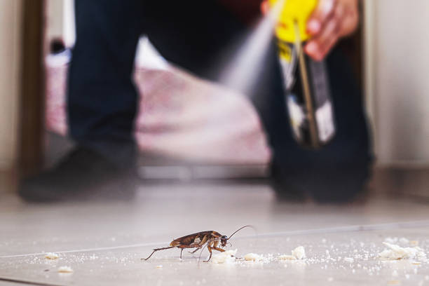 Best Pest Control for Businesses  in Syracuse, NY