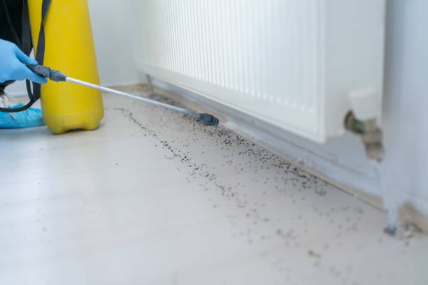 Pest Control Cost in Syracuse, NY