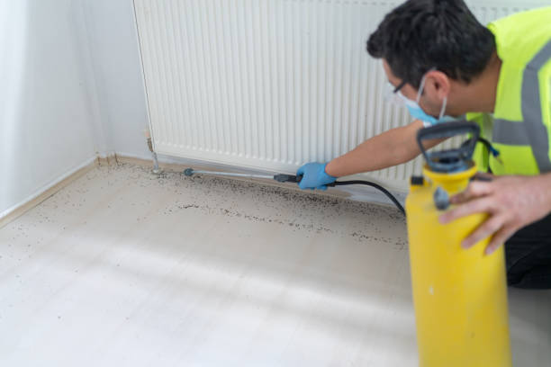 Professional Pest Control in Syracuse, NY